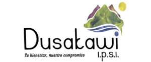 LOGOS_0002_logo-dusakawi